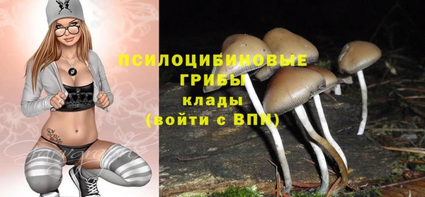 гидропоника Алексеевка