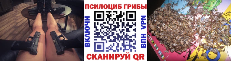 блэк спрут маркетплейс  Грайворон  Галлюциногенные грибы ЛСД 